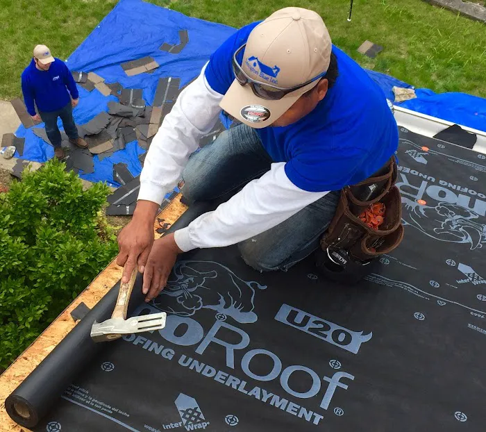 Lexington Blue Louisville Picture 4