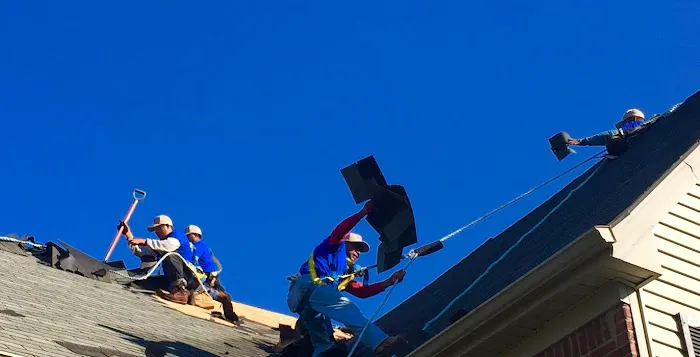 Lexington Blue Louisville Picture 2