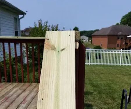 All Through the House