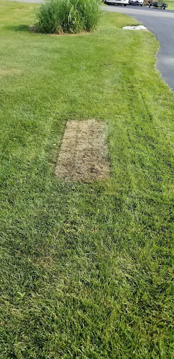 All Through the House Picture 2