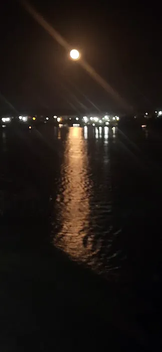 Randy Roofs Picture 1