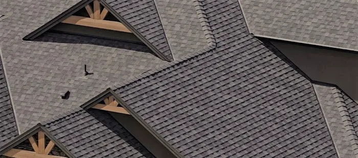 RHINOMAX ROOFING,LLC Picture 10