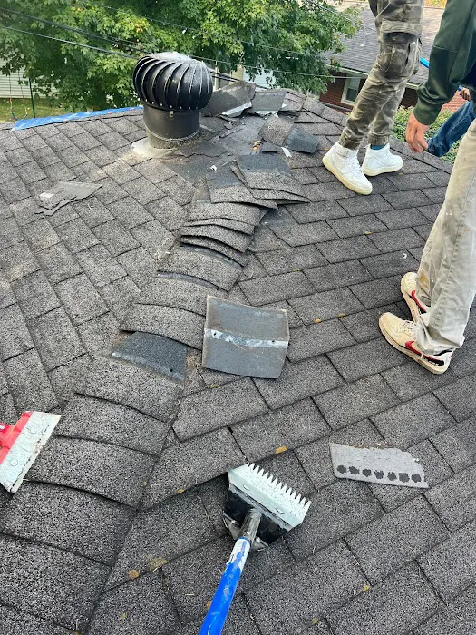 The Roofing Medic LLC Picture 10