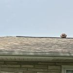 Raptor Roofing and Construction