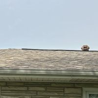 Raptor Roofing and Construction ico