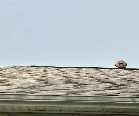 Raptor Roofing and Construction