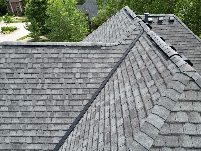 Raptor Roofing and Construction Picture 4