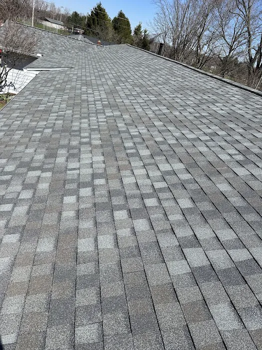 Roofs by Warren Picture 5