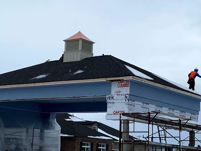 Roofs by Warren Picture 10