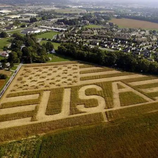 Roofs by Warren Picture 9