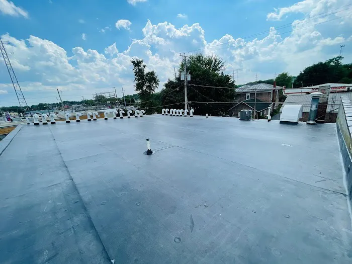 Roofs by Warren Picture 4