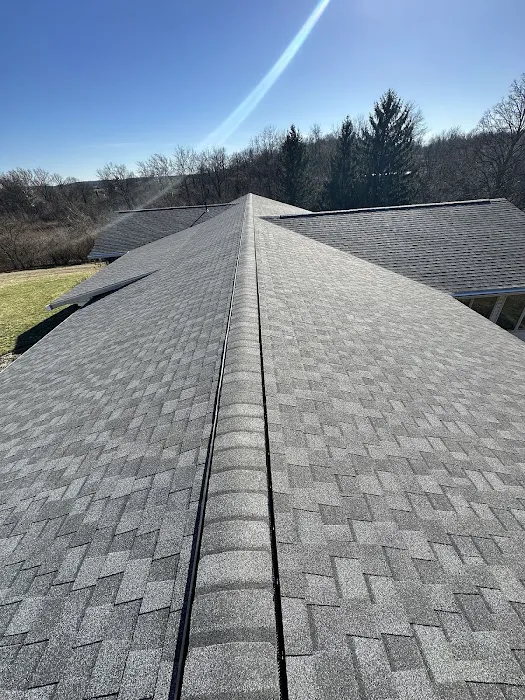 Roofs by Warren Picture 8