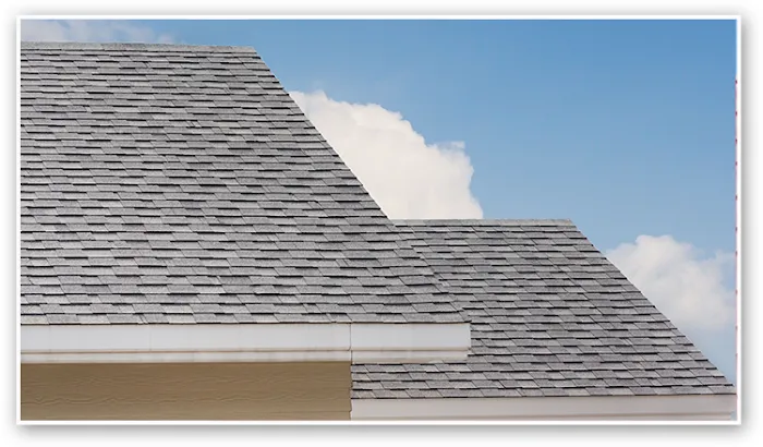 R Eck & Son Inc Picture 3