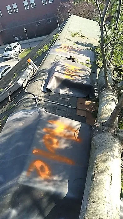 Geoghegan Roofing Picture 1