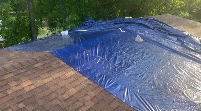 Cory The Roofer Picture 5