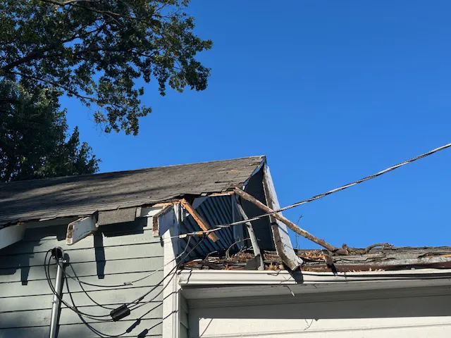 Roof Troops Picture 6