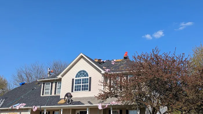 Elite Restoration Co Picture 4