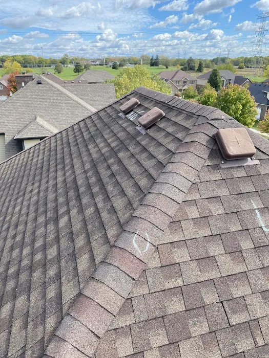 Wise Guys Roofing Picture 4