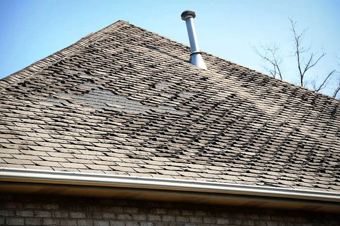 The Shingle Company Picture 7