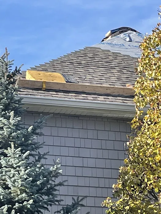 The Shingle Company Picture 9