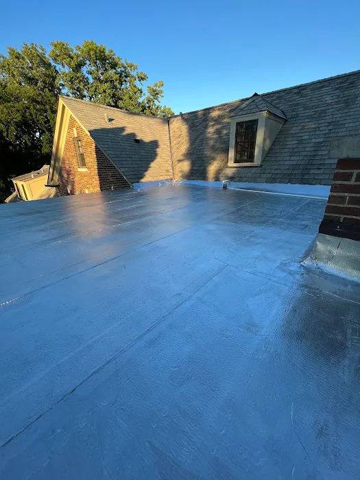 Mexican Roofing Picture 2