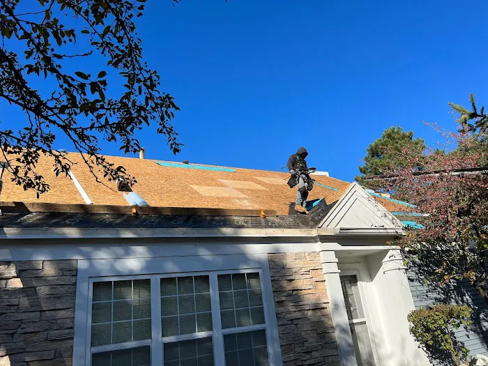 Mexican Roofing Picture 10