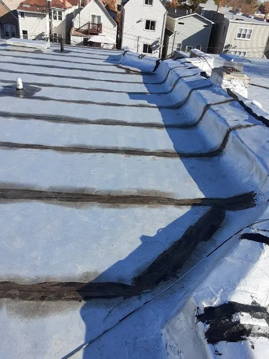 Roofing & Tuckpointing Guru Picture 4