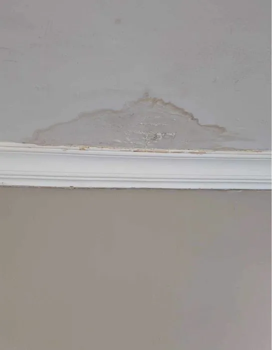 Nicholas Roofing & Tuckpointing Picture 6