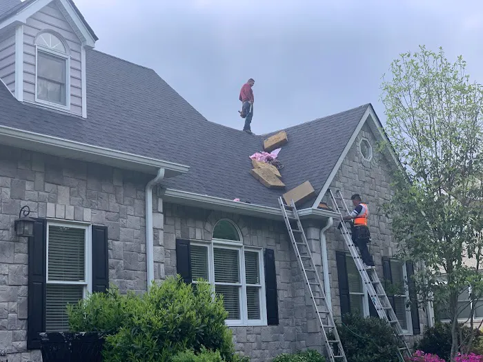 Lex Roofing Picture 2