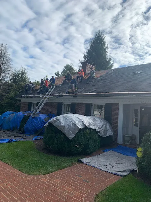 Lex Roofing Picture 6