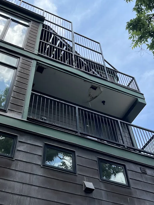 Roof Secured Picture 5