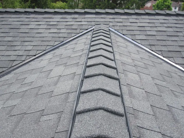 Unique Roofing Picture 3