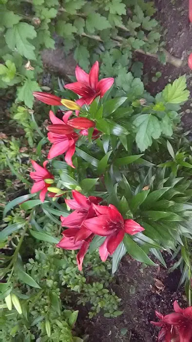 General Roofing Picture 2