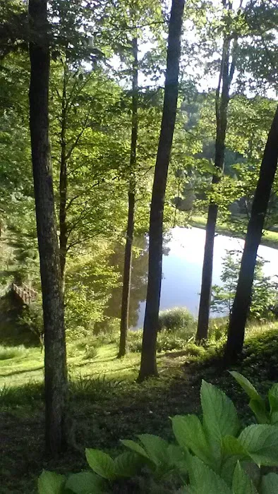 General Roofing Picture 3