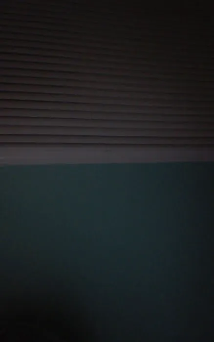 Your Home Roofing Picture 1