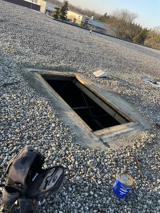 Budget Roofing Picture 3