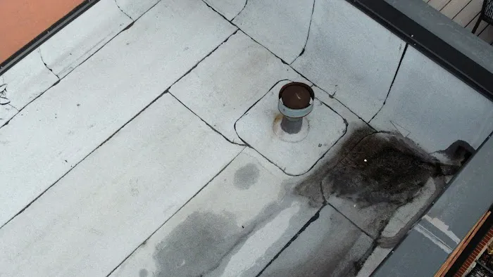 Loyola Roofing Picture 4