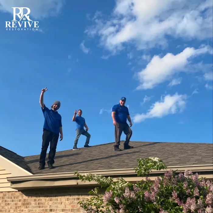 Revive Restoration Picture 3