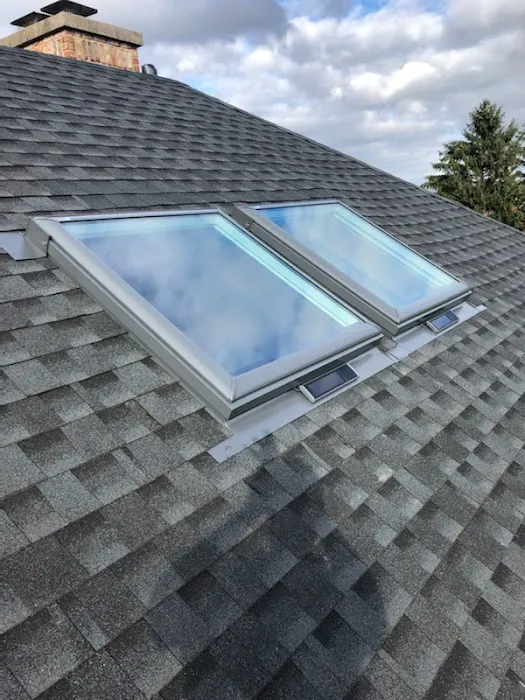 Revive Restoration Picture 7