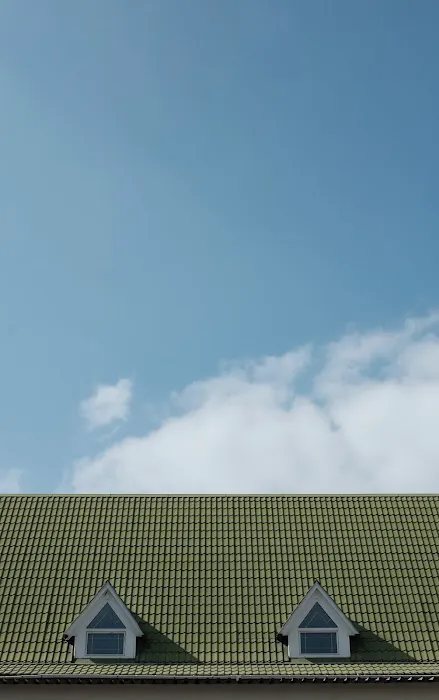 SWS Roofing Picture 8