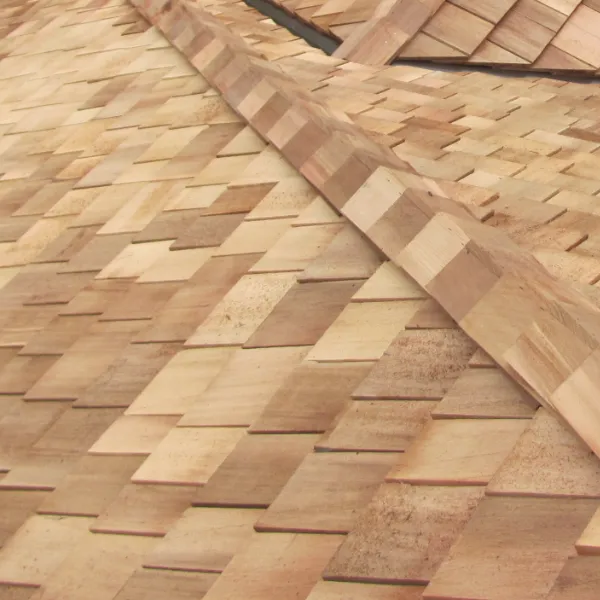 Salvo Architectural Roofing Contractors Inc Picture 6