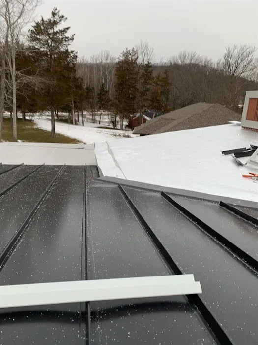 Metal Roofing Chicago Picture 8