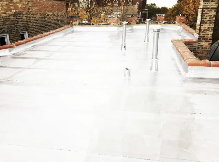 Blue Sky Roofing, Inc. Picture 1