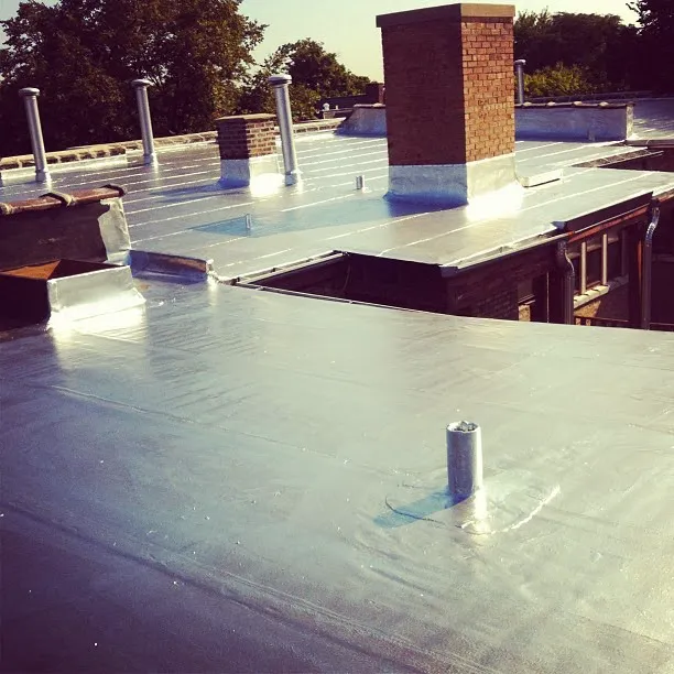 Blue Sky Roofing, Inc. Picture 8