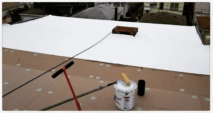 Blue Sky Roofing, Inc. Picture 10