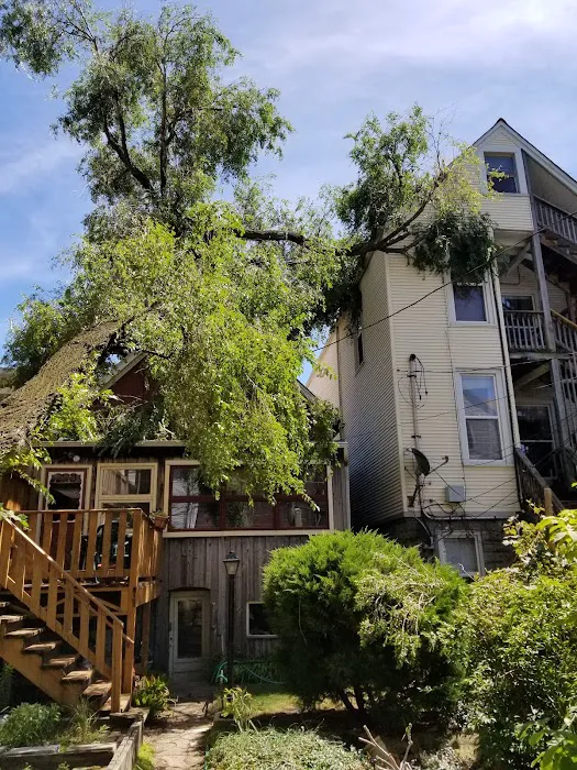 Star Roofing and Construction Inc. Picture 2