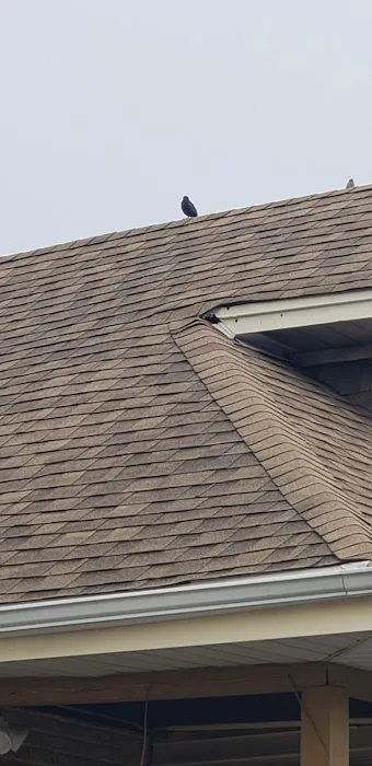 Danny's Roofing Inc. Picture 8