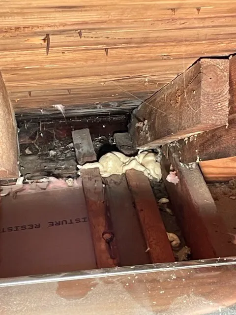 Ferravit Remodeling Inc Picture 4