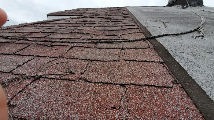 CityWide Roofing Picture 4