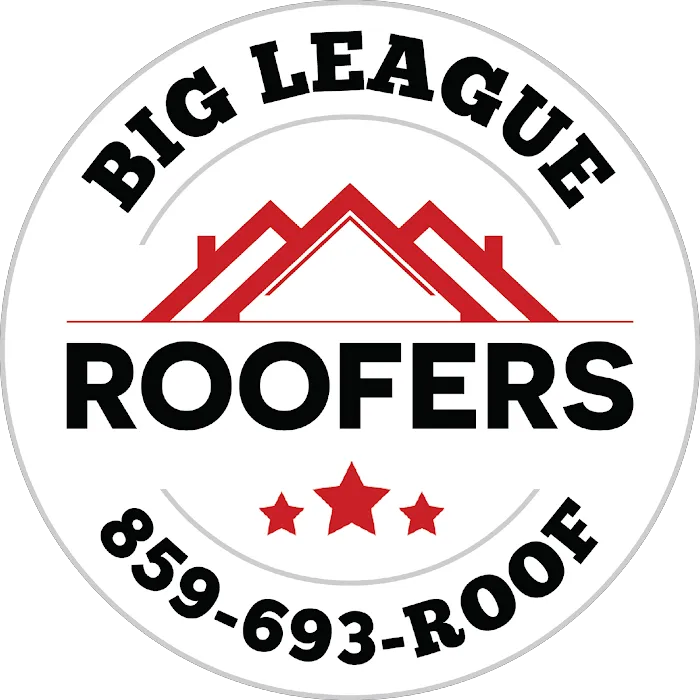 Big League Roofers Picture 3